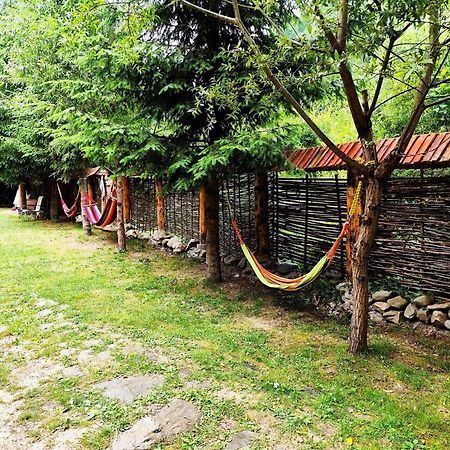 Cabana Frasin Dragoslavele Zewnętrze zdjęcie