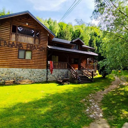 Cabana Frasin Dragoslavele Zewnętrze zdjęcie