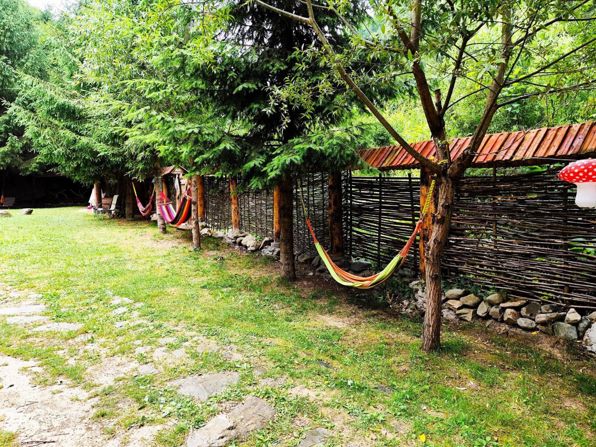 Cabana Frasin Dragoslavele Zewnętrze zdjęcie
